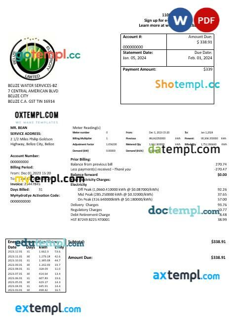 Belize Electricity Limited electricity business utility bill template in Word and PDF format Belize Electricity Limited electricity business utility bill template in Word and PDF format