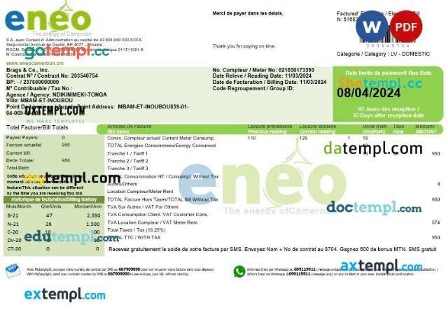 Cameroon ENEO electricity business utility bill template in Word and PDF format, version 2 Cameroon ENEO electricity business utility bill template in Word and PDF format, version 2