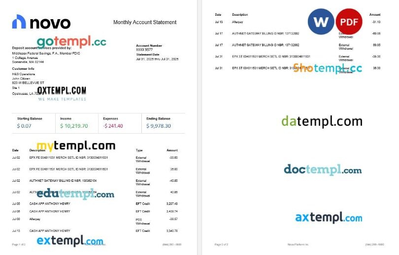 USA Novo Platform INC online business banking statement template, 2 pages USA Novo Platform INC online business banking statement template, 2 pages
