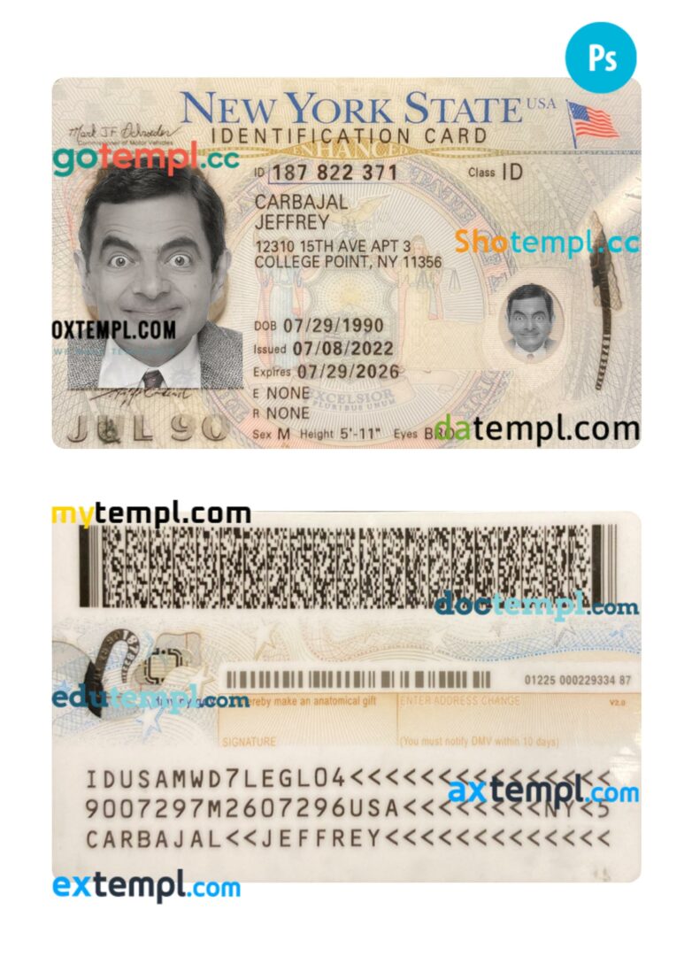 USA New York ID card PSD template, 2022-present USA New York ID card PSD template, 2022-present
